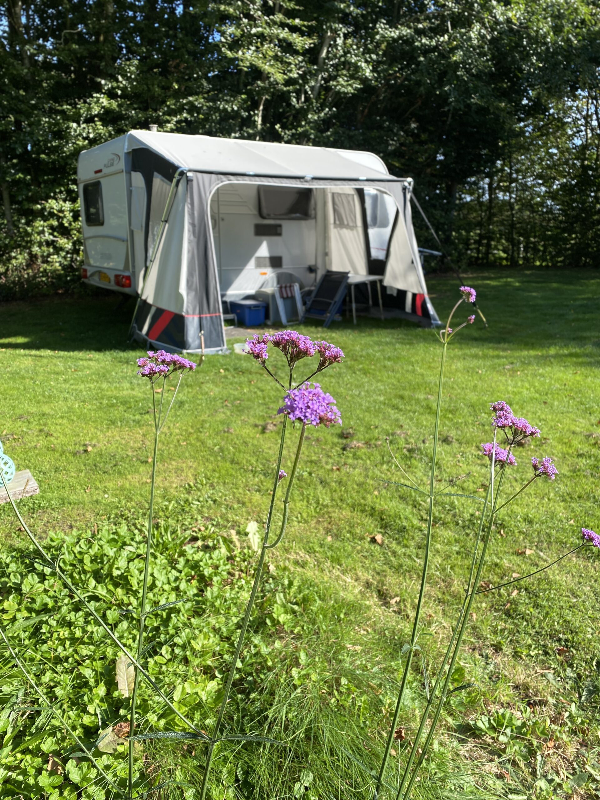 Mini-camping Varde Denemarken