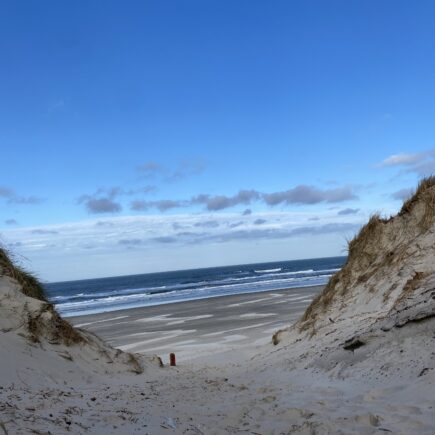 Bormøse strand west jutland