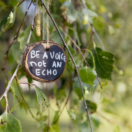 Be a Voice not an echo