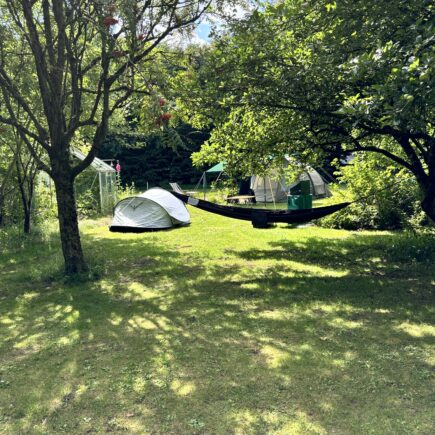 Rustige camping bij Varde met groene omgeving